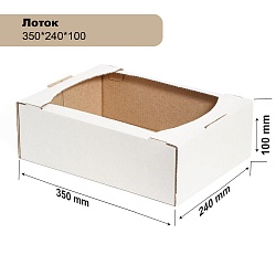 Лоток 350*240*100