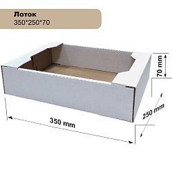 Лоток 350*250*70